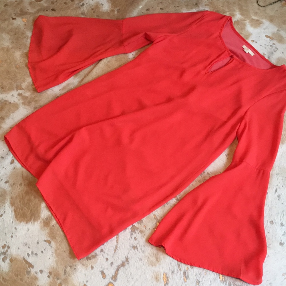 Gorgeous bell sleeved dress